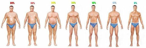 body-fat-percentage-men-1.jpg.5a916560ea4462aa6c18badd1368095a.jpg